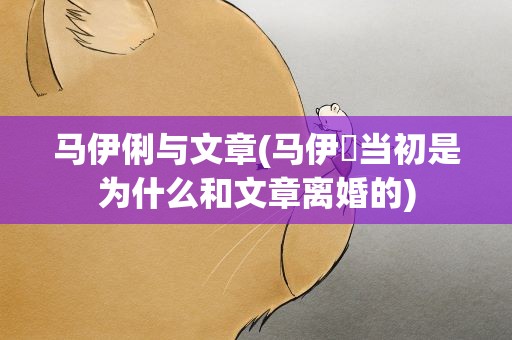 马伊俐与文章(马伊琍当初是为什么和文章离婚的)