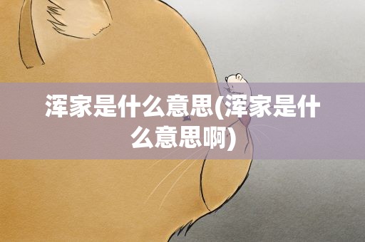 浑家是什么意思(浑家是什么意思啊)