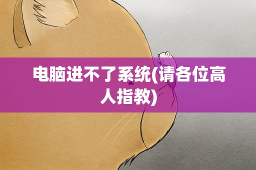 电脑进不了系统(请各位高人指教)
