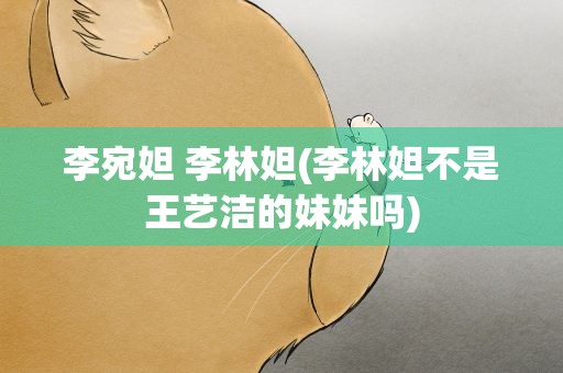 李宛妲 李林妲(李林妲不是王艺洁的妹妹吗)