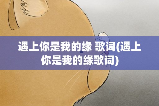 遇上你是我的缘 歌词(遇上你是我的缘歌词)