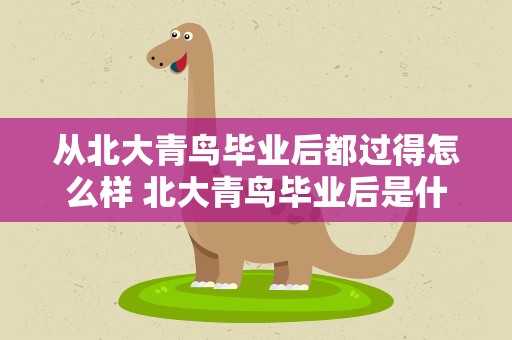 从北大青鸟毕业后都过得怎么样 北大青鸟毕业后是什么学历