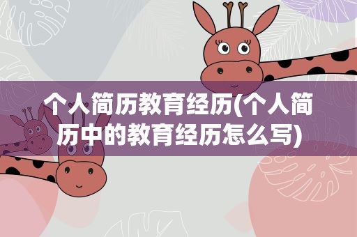 个人简历教育经历(个人简历中的教育经历怎么写)