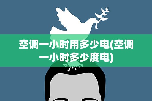 空调一小时用多少电(空调一小时多少度电)
