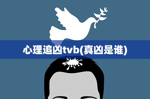 心理追凶tvb(真凶是谁)