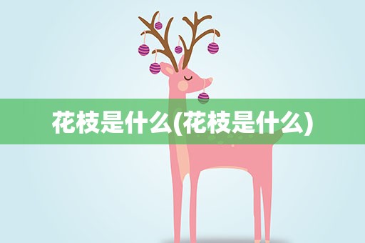 花枝是什么(花枝是什么)