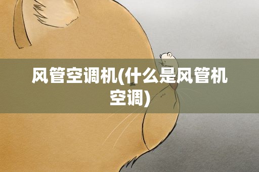 风管空调机(什么是风管机空调)