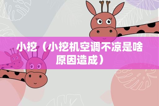 小挖（小挖机空调不凉是啥原因造成）