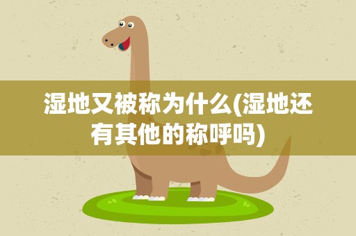 湿地又被称为什么(湿地还有其他的称呼吗)