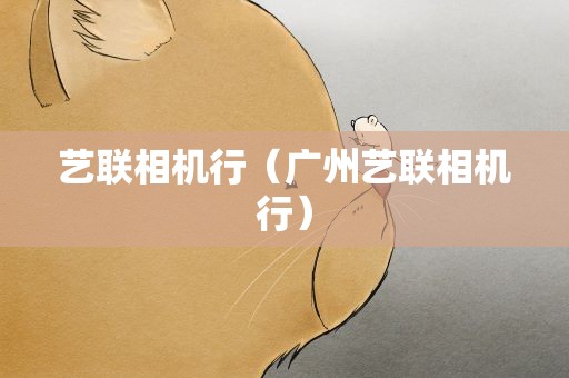 艺联相机行（广州艺联相机行）