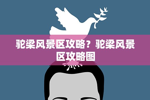 驼梁风景区攻略？驼梁风景区攻略图