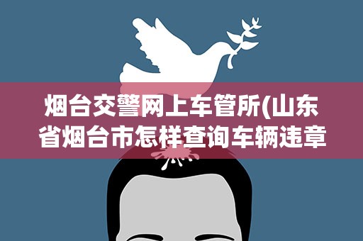 烟台交警网上车管所(山东省烟台市怎样查询车辆违章(哪个网址))