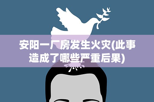 安阳一厂房发生火灾(此事造成了哪些严重后果)