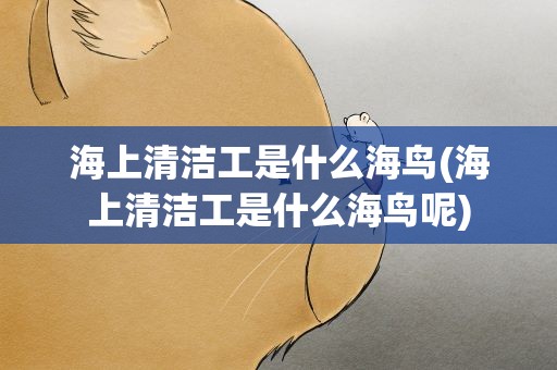 海上清洁工是什么海鸟(海上清洁工是什么海鸟呢)