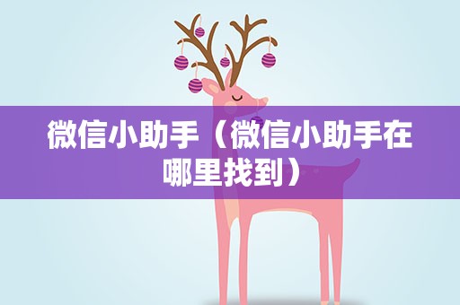 微信小助手（微信小助手在哪里找到）