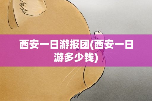 西安一日游报团(西安一日游多少钱)