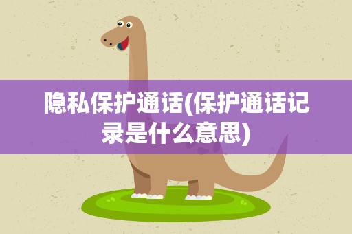 隐私保护通话(保护通话记录是什么意思)