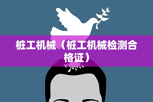 桩工机械（桩工机械检测合格证）