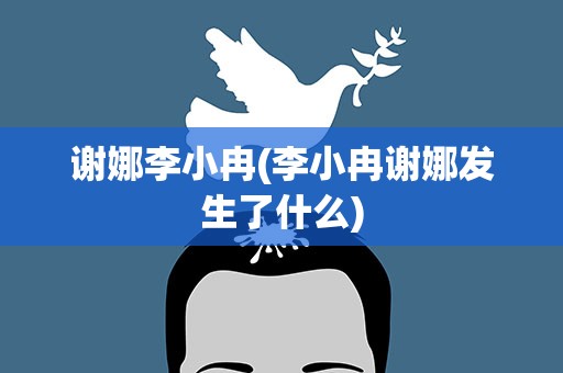 谢娜李小冉(李小冉谢娜发生了什么)