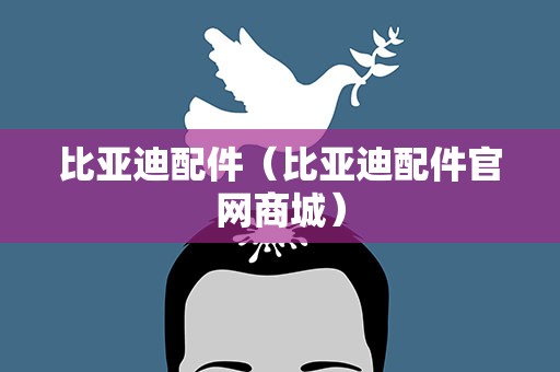 比亚迪配件（比亚迪配件官网商城）