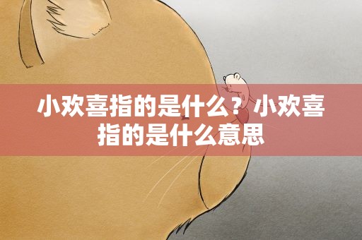 小欢喜指的是什么？小欢喜指的是什么意思