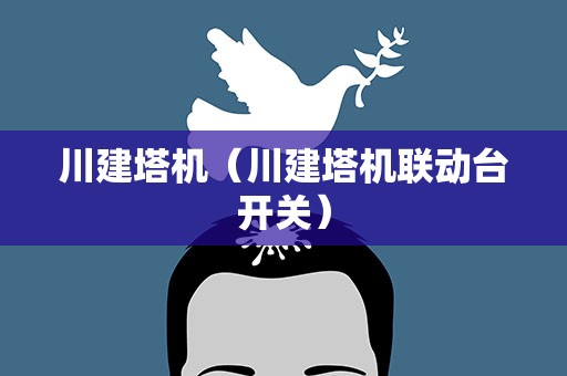 川建塔机（川建塔机联动台开关）