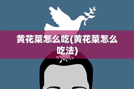 黄花菜怎么吃(黄花菜怎么吃法)