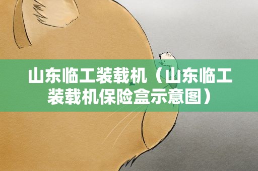 山东临工装载机（山东临工装载机保险盒示意图）