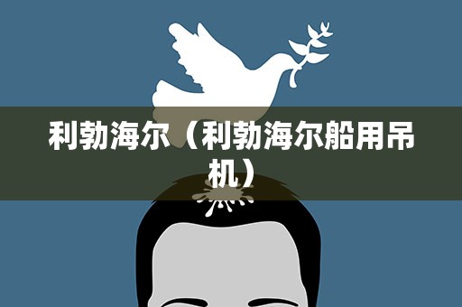 利勃海尔（利勃海尔船用吊机）