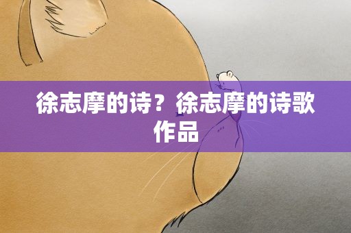 徐志摩的诗？徐志摩的诗歌作品
