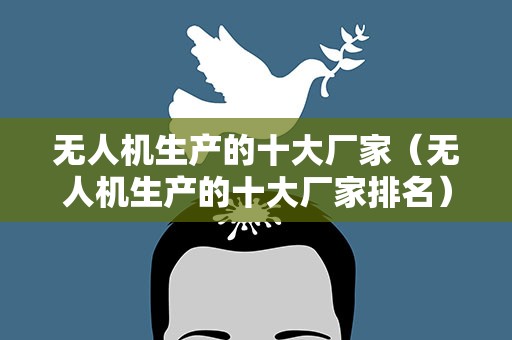 无人机生产的十大厂家（无人机生产的十大厂家排名）