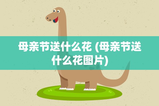 母亲节送什么花 (母亲节送什么花图片)