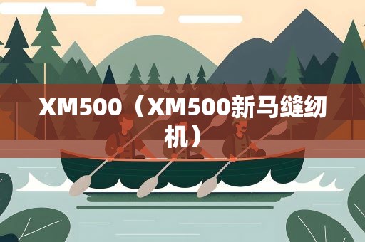 XM500（XM500新马缝纫机）