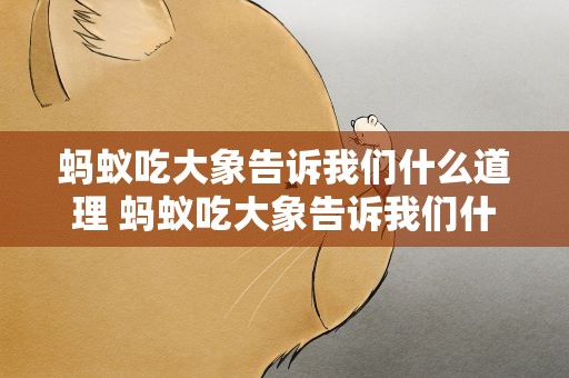 蚂蚁吃大象告诉我们什么道理 蚂蚁吃大象告诉我们什么道理呢