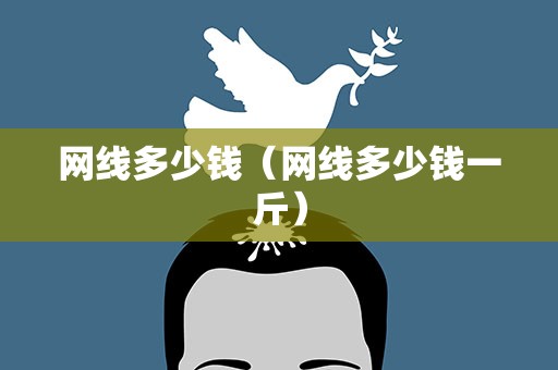 网线多少钱（网线多少钱一斤）