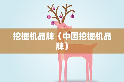 挖掘机品牌（中国挖掘机品牌）
