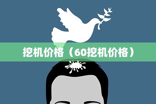 挖机价格（60挖机价格）