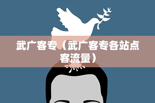 武广客专（武广客专各站点客流量）