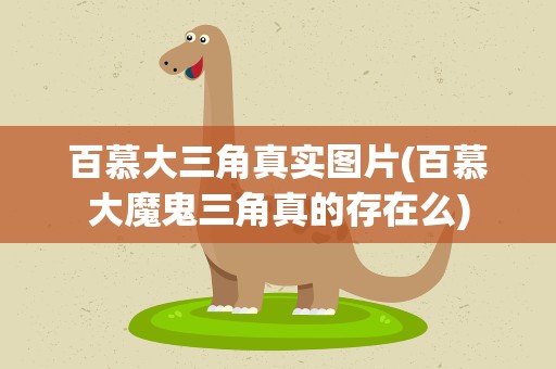 百慕大三角真实图片(百慕大魔鬼三角真的存在么)