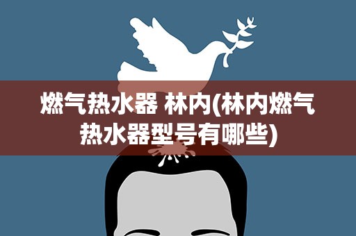 燃气热水器 林内(林内燃气热水器型号有哪些)