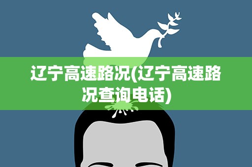 辽宁高速路况(辽宁高速路况查询电话)
