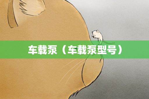 车载泵（车载泵型号）