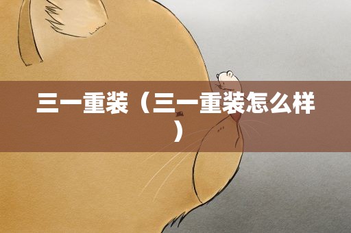 三一重装（三一重装怎么样）