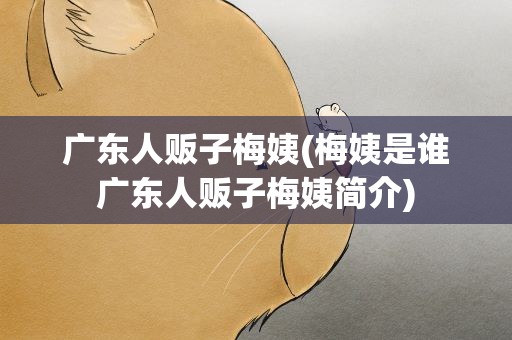 广东人贩子梅姨(梅姨是谁广东人贩子梅姨简介)