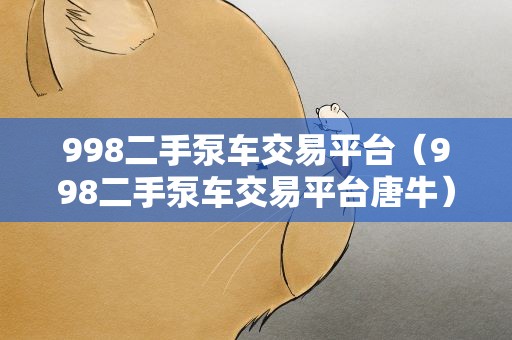 998二手泵车交易平台（998二手泵车交易平台唐牛）