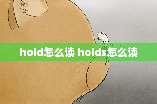 hold怎么读 holds怎么读