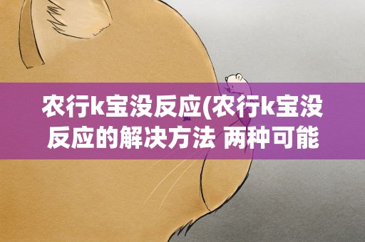 农行k宝没反应(农行k宝没反应的解决方法 两种可能两种解决方案一览)
