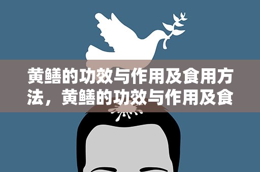 黄鳝的功效与作用及食用方法，黄鳝的功效与作用及食用方法禁忌