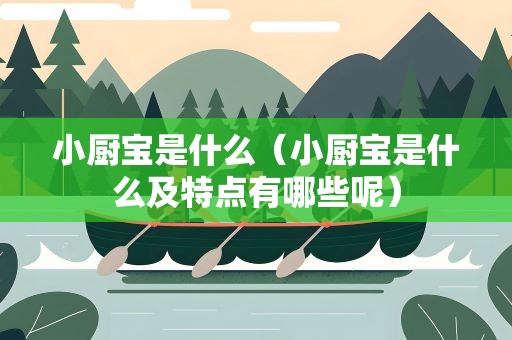 小厨宝是什么（小厨宝是什么及特点有哪些呢）