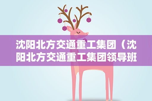 沈阳北方交通重工集团（沈阳北方交通重工集团领导班子）